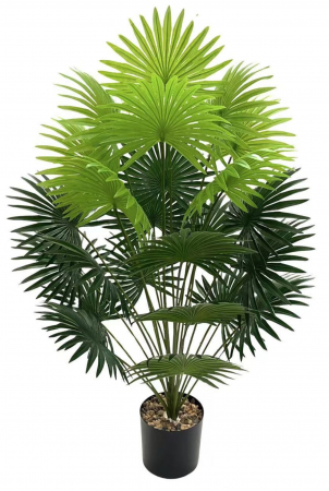 Plante - Planta Artificiala - Tropical Tung Palm, h 80cm