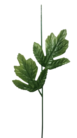 Frunze, Tulpini si Ramuri - Tija floristica/Tulpina cu frunze, 54cm - Set 6 buc