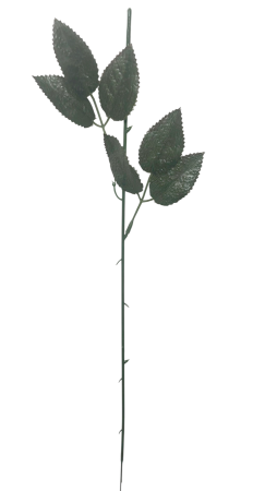 Frunze, Tulpini si Ramuri - Tija floristica/Tulpina cu frunze, 44cm - Set 12 buc