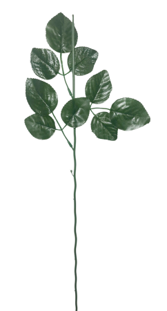 Frunze, Tulpini si Ramuri - Tija floristica/Tulpina cu frunze, 58cm - Set 6 buc