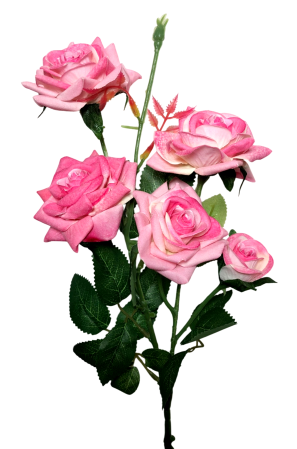 img-attr