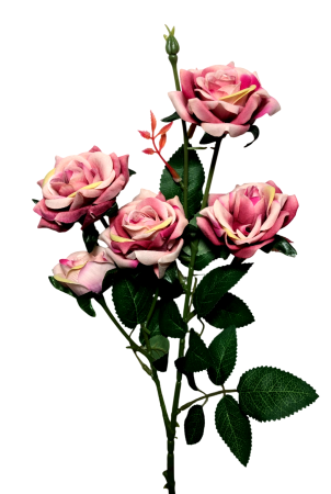 img-attr