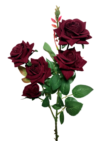 img-attr