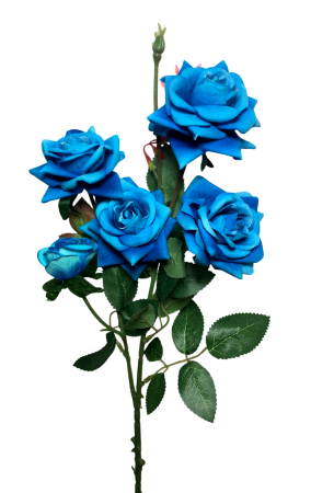 img-attr