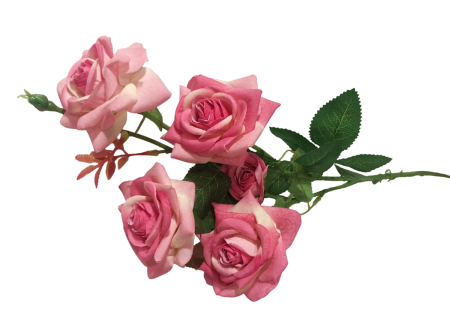img-attr