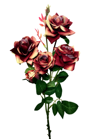 img-attr