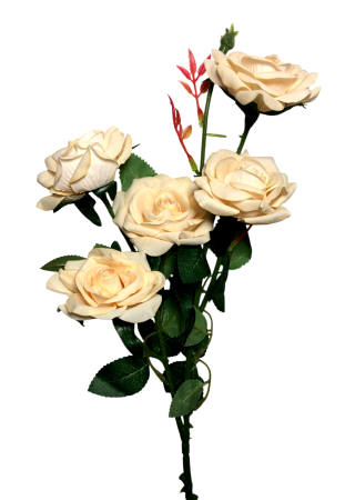 img-attr