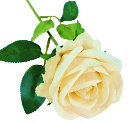 img-attr