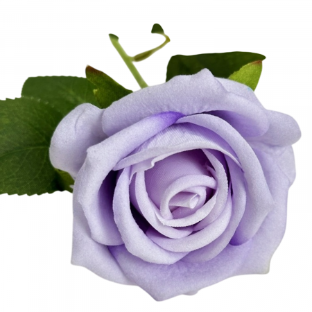 img-attr