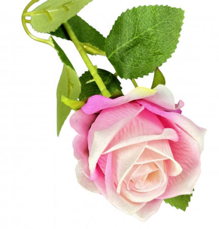 img-attr