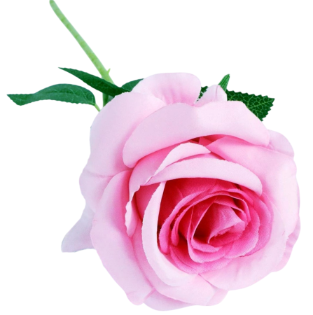 Flori Artificiale cu Tulpina - Trandafir artificial din catifea, la Fir, L 50cm