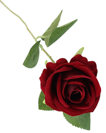 img-attr