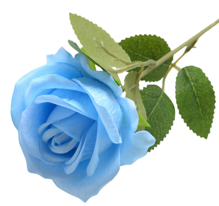 img-attr