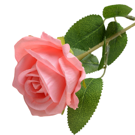 img-attr