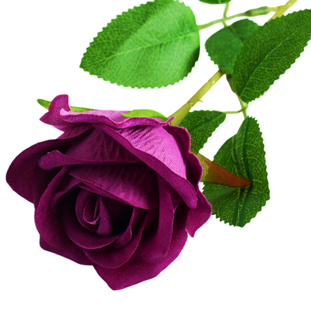 img-attr