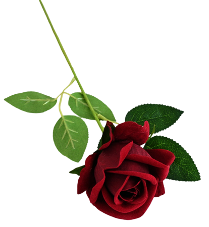 img-attr