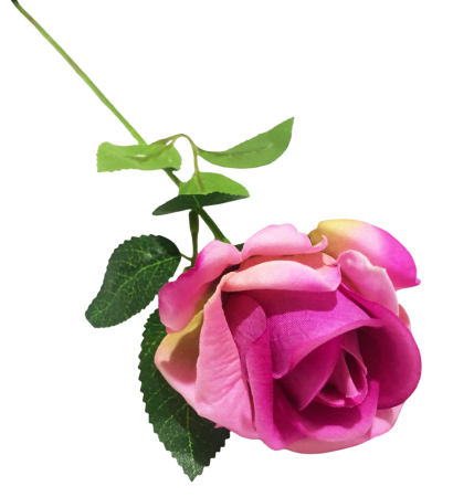 img-attr