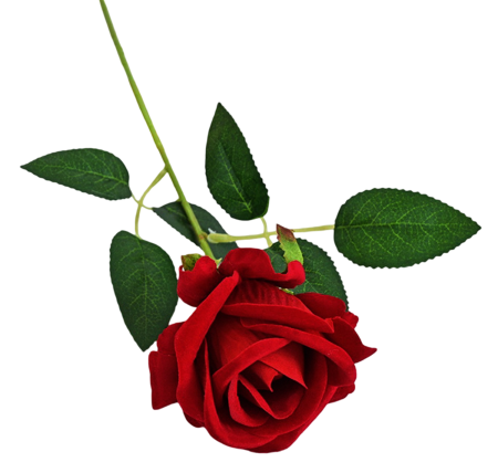 img-attr
