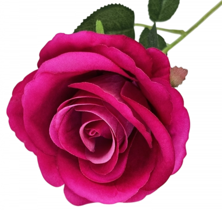 img-attr