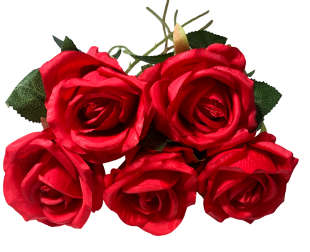 img-attr