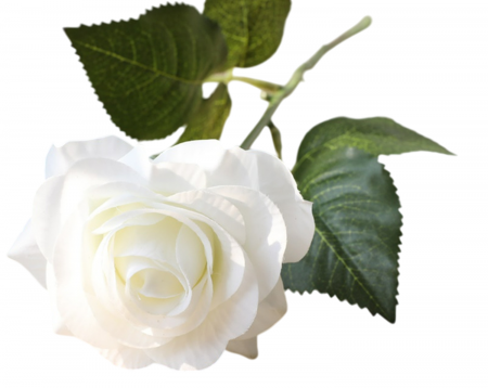 img-attr