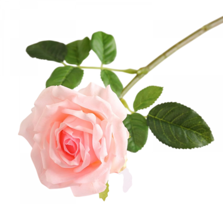 img-attr