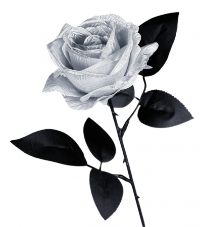 img-attr