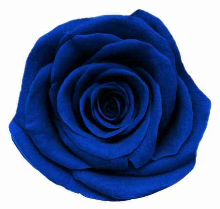 img-attr