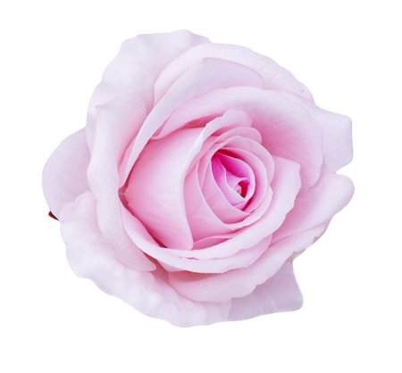 img-attr