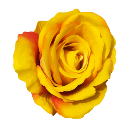 img-attr