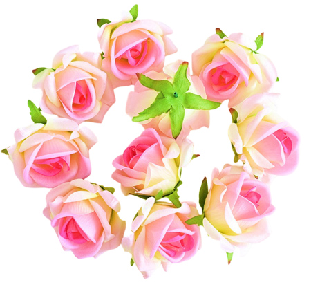 img-attr