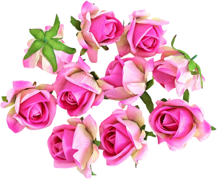 img-attr