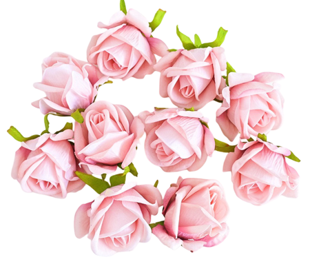 img-attr