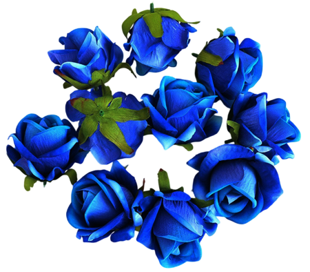 img-attr