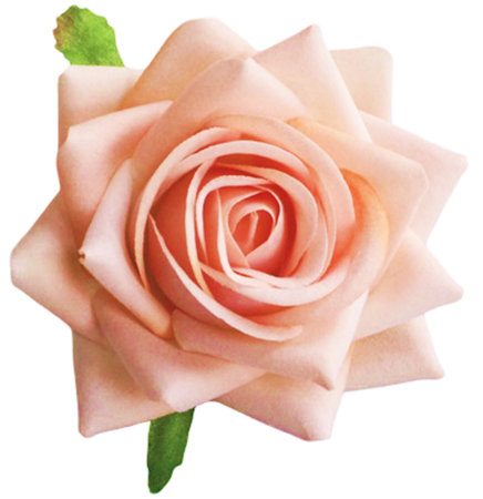 img-attr