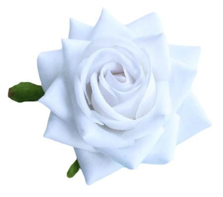 PLANTE SI FLORI ARTIFICIALE - Trandafir din catifea model "Corner", Cap ⌀ 10cm