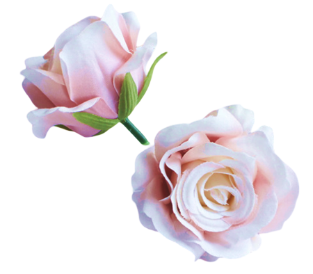 img-attr