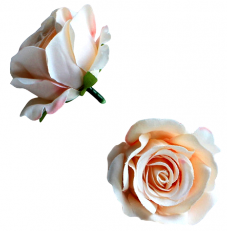 img-attr