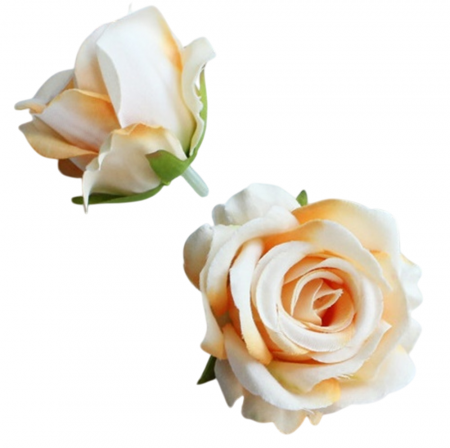 img-attr