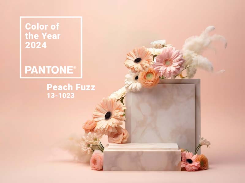 Culorile anului 2024 - Decoratiuni care sunt la moda, tendinte si inspiratii