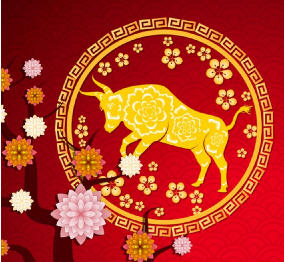 Decoratiuni potrivite in casa conform regulilor Feng Shui