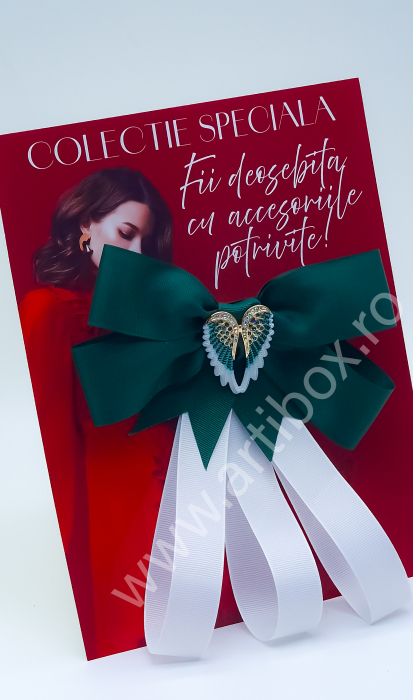 Brosa eleganta funda pentru camasi si rochite - Aripi de inger - Verde [4]