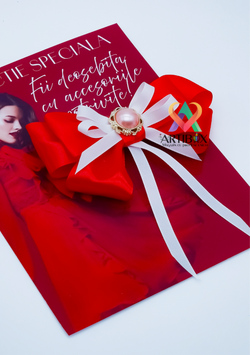 Brosa eleganta funda pentru camasi si rochite - Red&White [2]