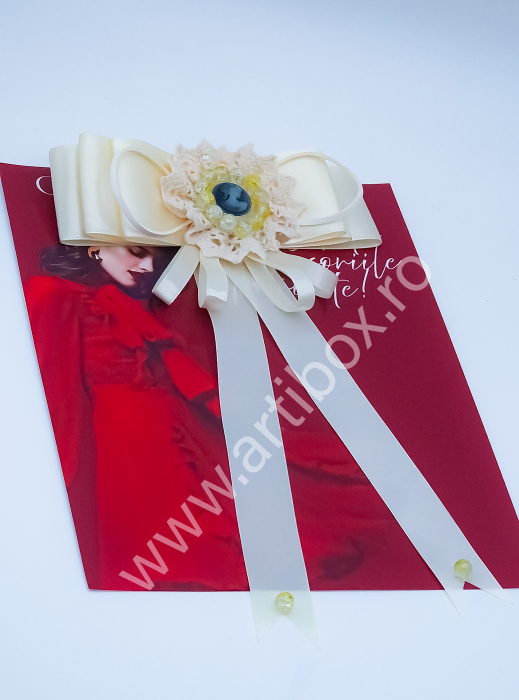 Brosa Eleganta stil Jabou, Papion,  Funda pentru camasi si rochite - Lady [3]
