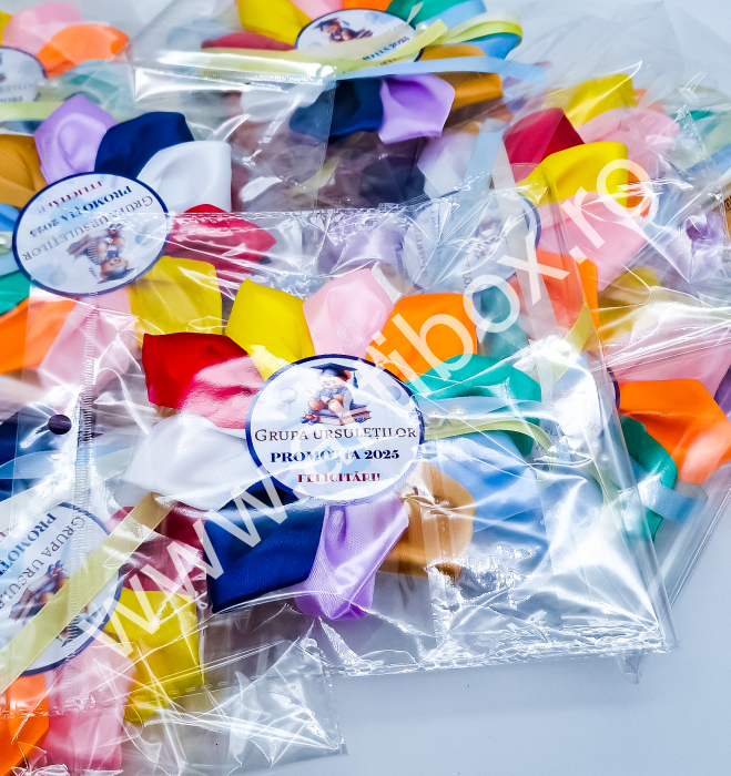 Cocarde personalizate pentru festivitate cresa/gradinita - Model Multicolor [3]