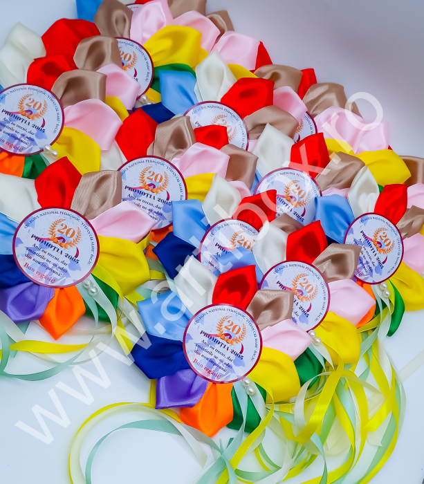 Cocarde personalizate pentru reuniune - Model Color [4]
