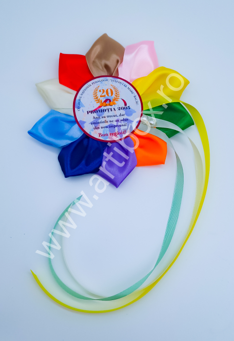 Cocarde personalizate pentru reuniune - Model Color [2]