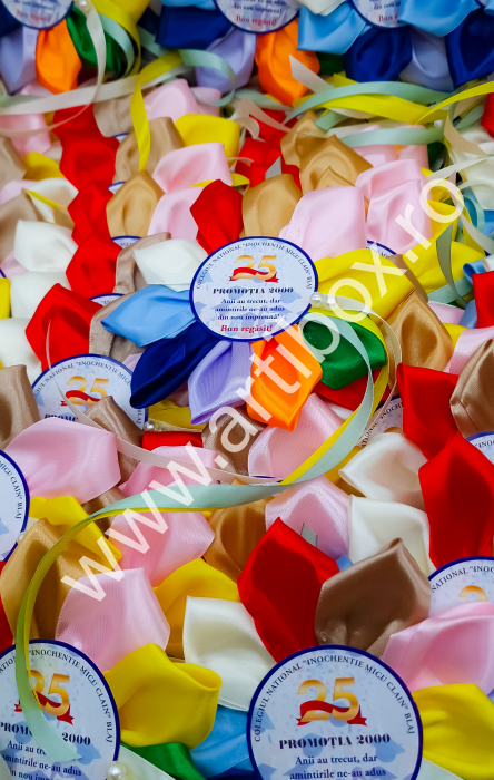 Cocarde personalizate pentru reuniune - Model Color [3]