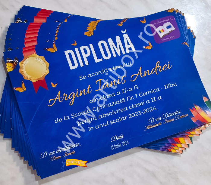 Diploma absolvire - personalizata cu text și poza pentru gradinita/scoala [6]