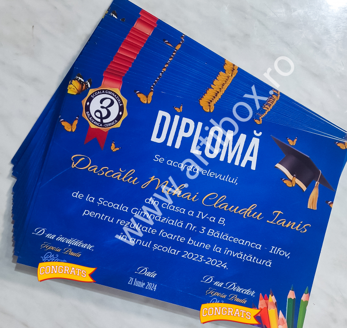 Diploma absolvire - personalizata cu text și poza pentru gradinita/scoala [10]
